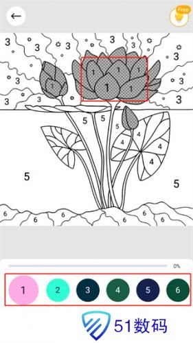 乐涂数字填色