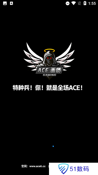 ACE画质助手