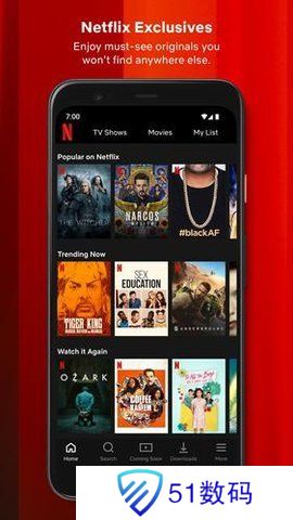 网飞netflix播放器